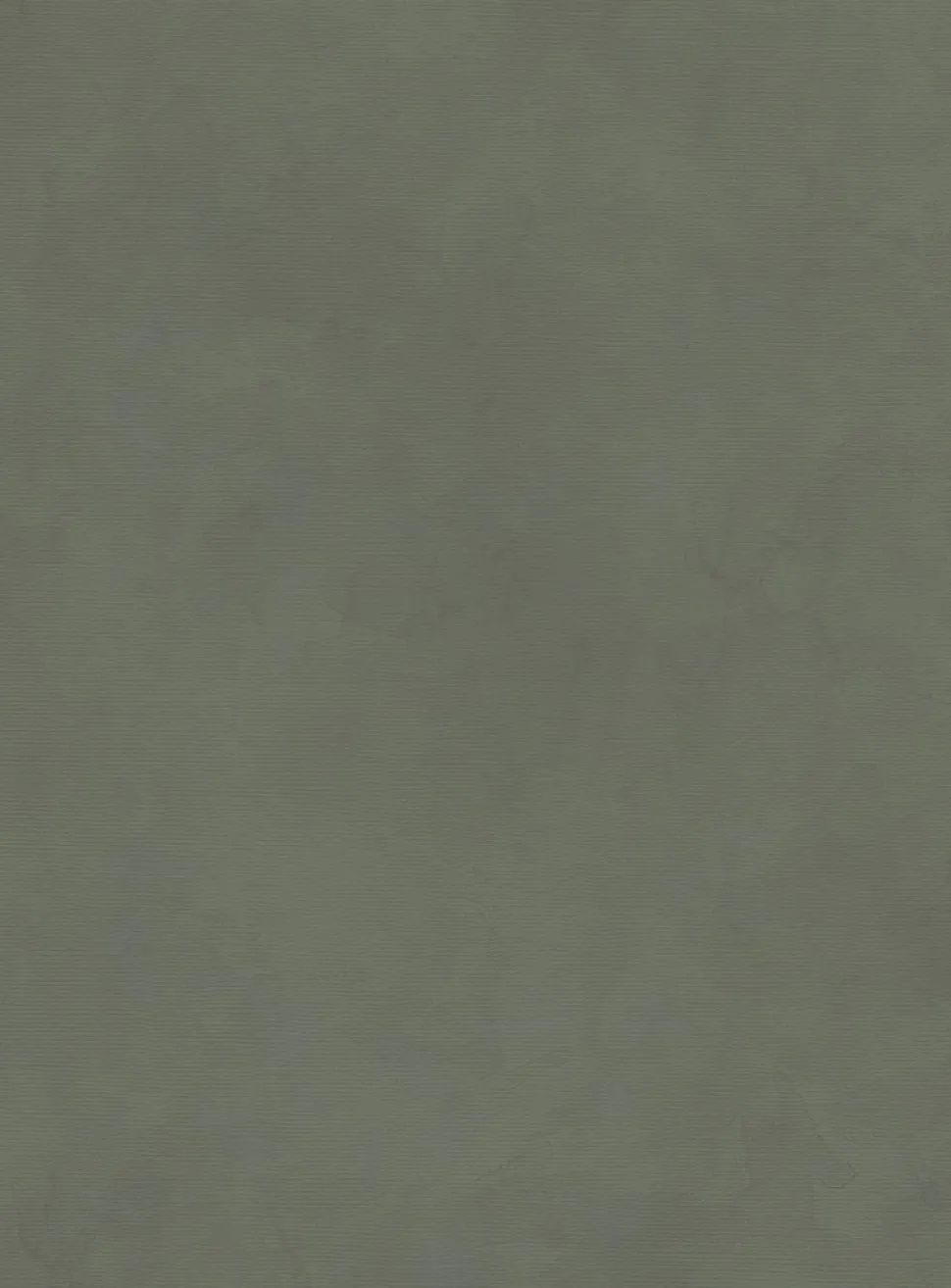 Antica wallpaper strip