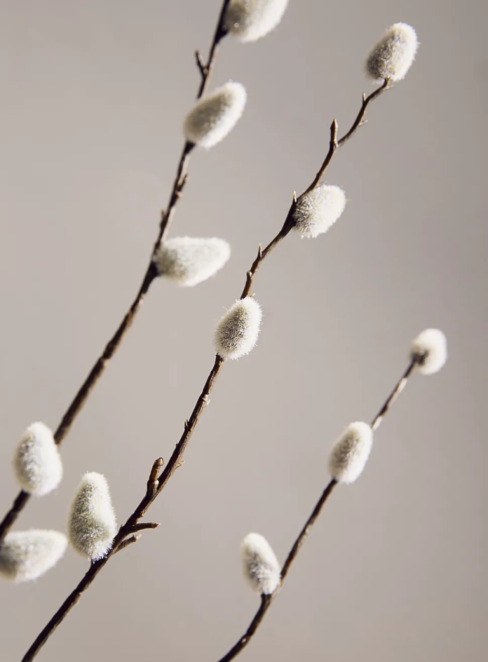 Artificial pussy willow branch