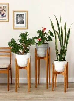 Cherry wood plant stand