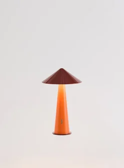 Colourful portable LED lamp