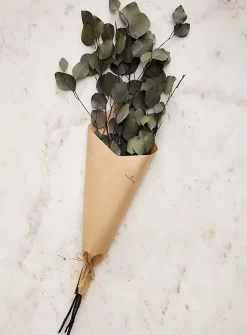Dried eucalyptus populus wreath