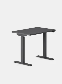 Duo standing desk