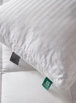 Duveteuse feather and down pillow