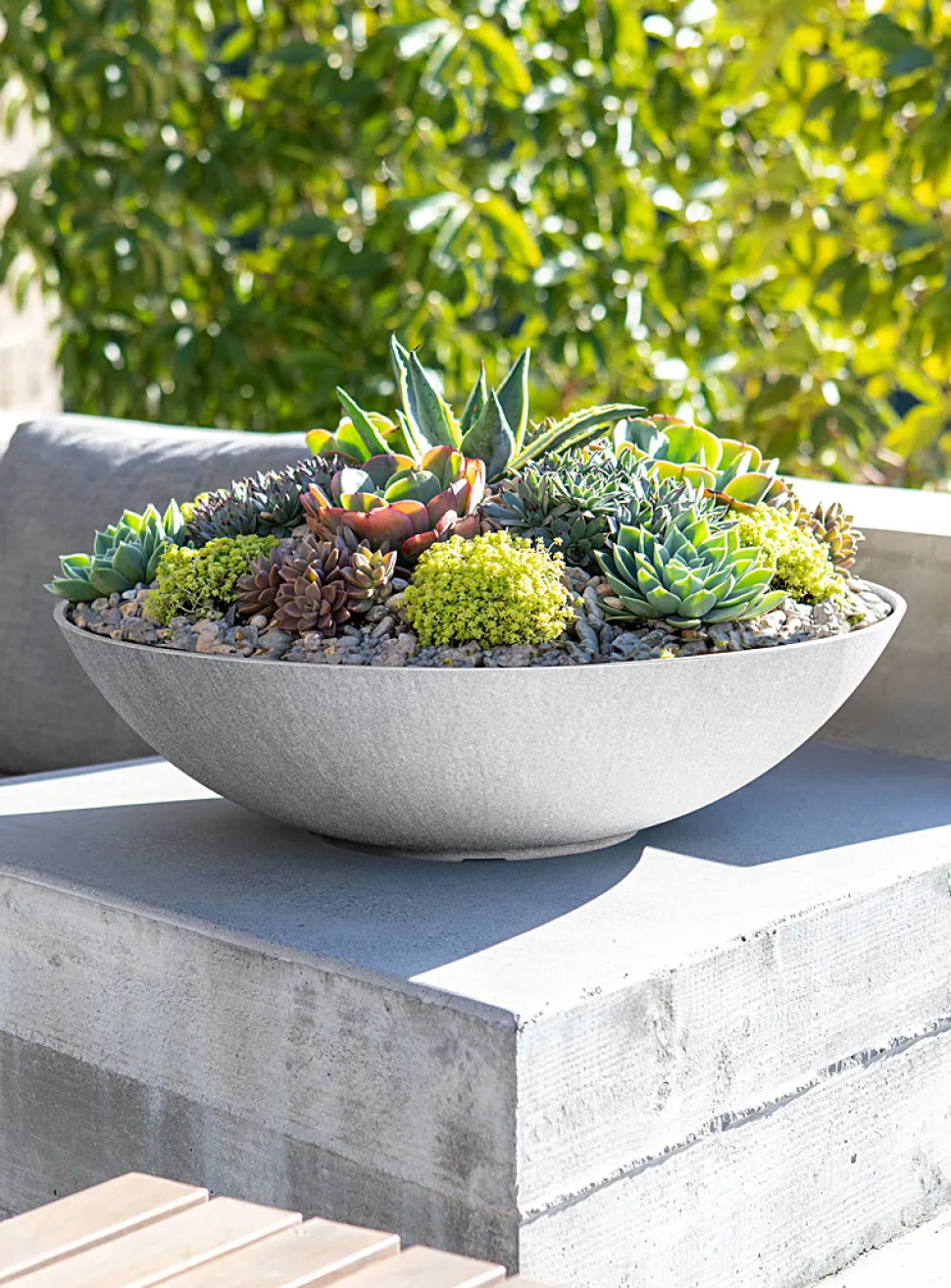 Lane enlarged planter