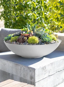 Lane enlarged planter