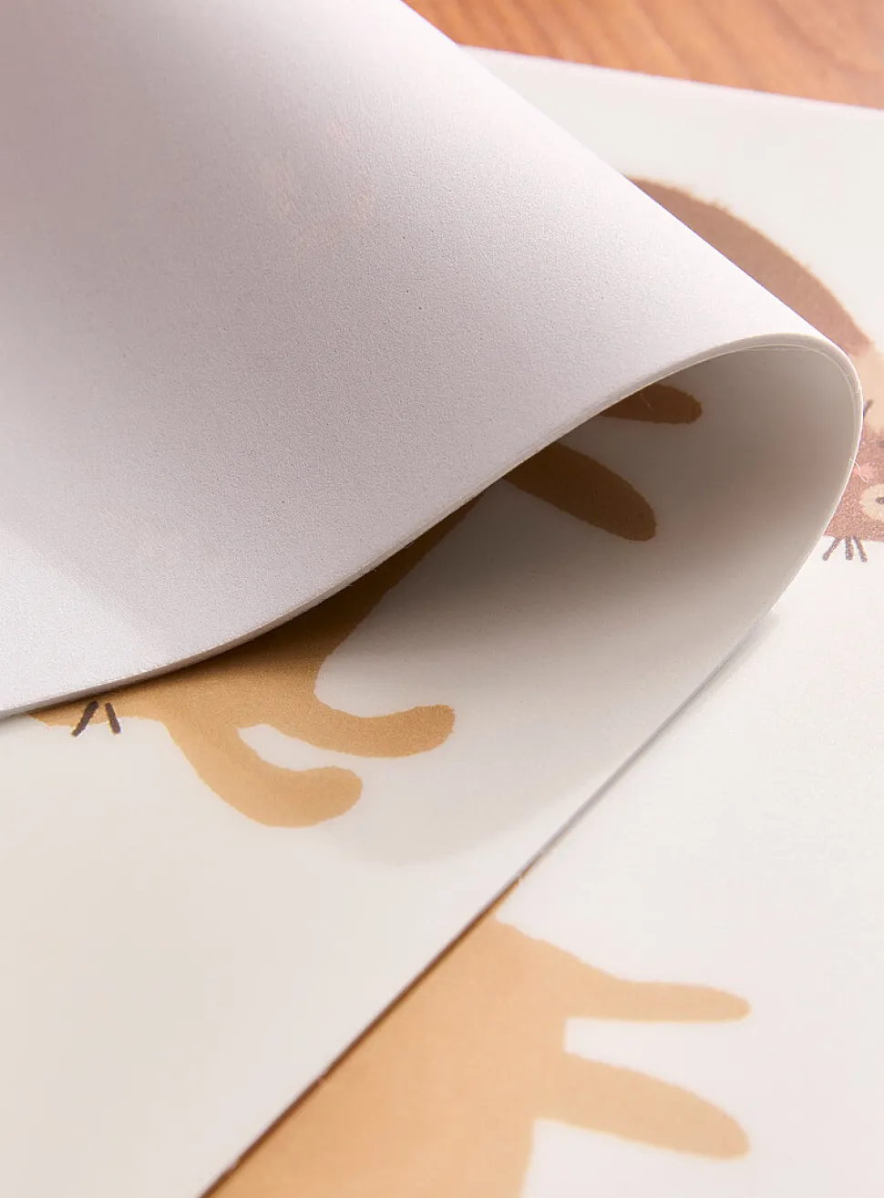 Large cats vinyl placemats
