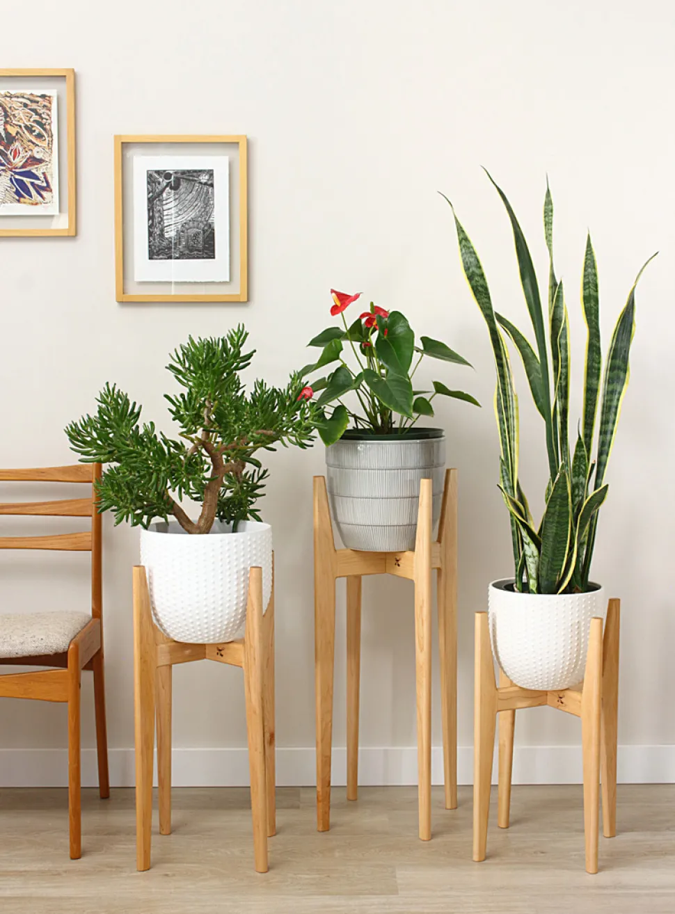 Maple plant stand