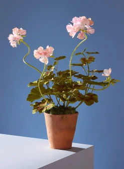 Paper geranium jar