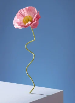 Paper Iceland poppy stem