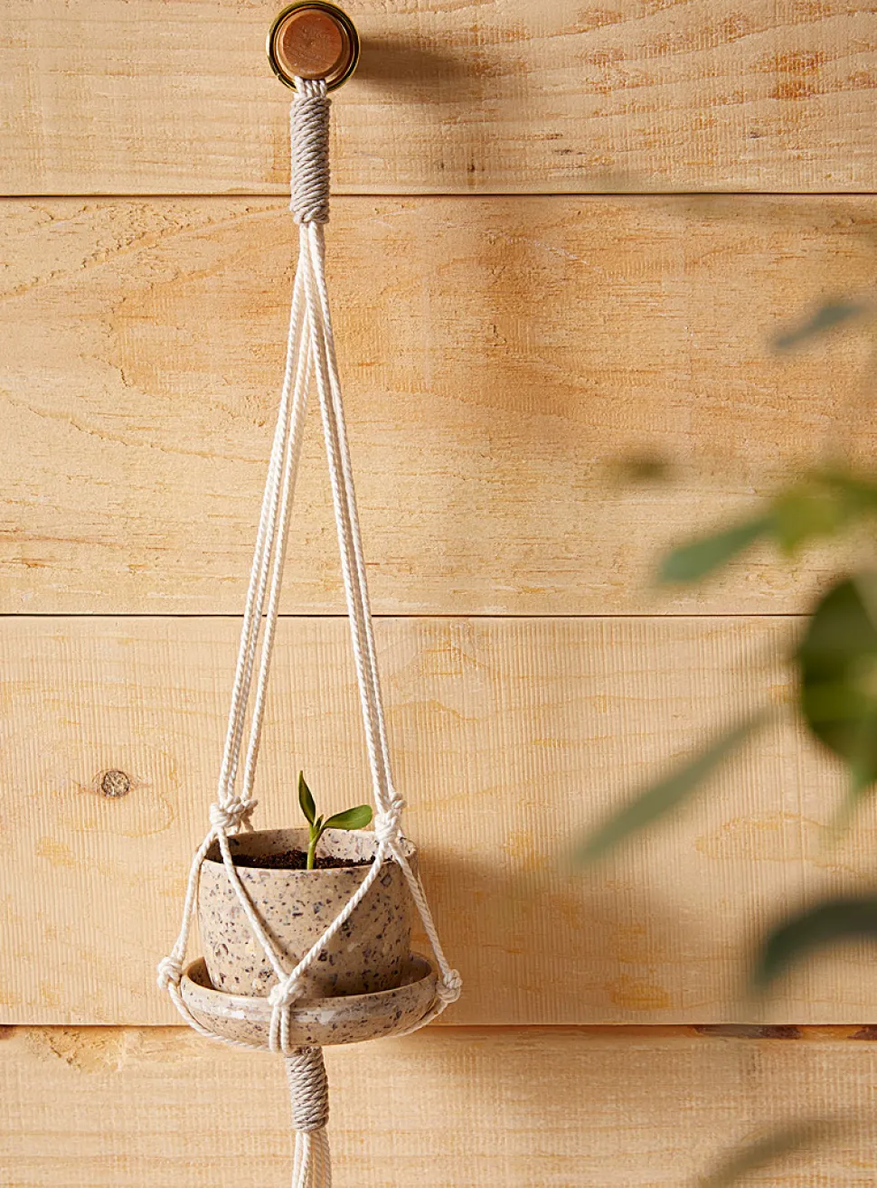 Small hanging plant set