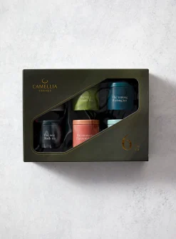 6 teas discovery set