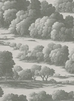 Terra wallpaper strip