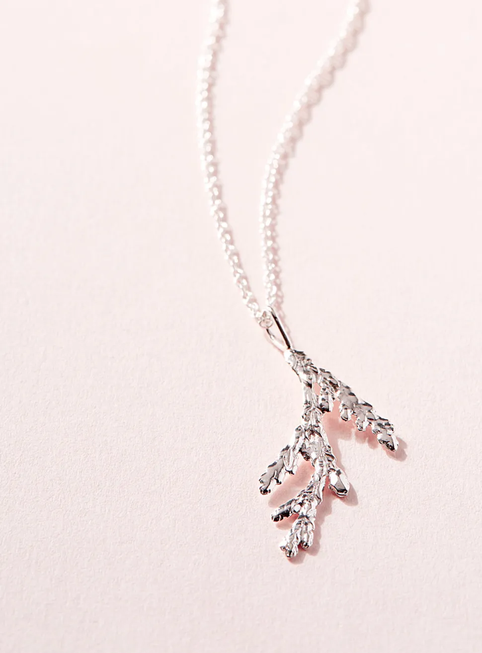 Thuja cedar pendant necklace