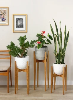 White oak plant stand