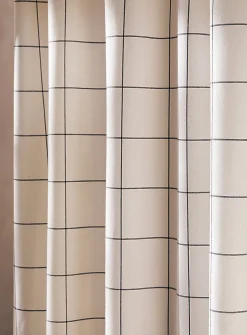 Windowpane checks shower curtain
